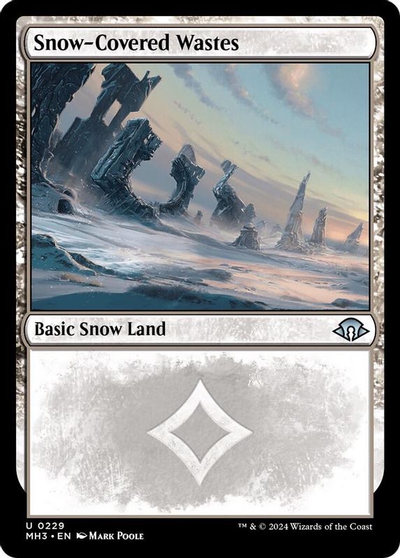 Snow-Covered Wastes (0229) - 229 - Uncommon