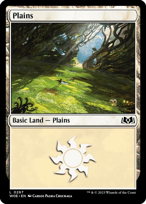 Plains (0267) - 267 - Land