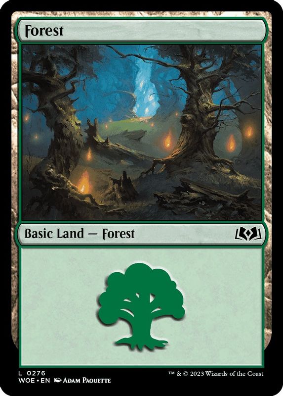 Forest (0276) - 276 - Land