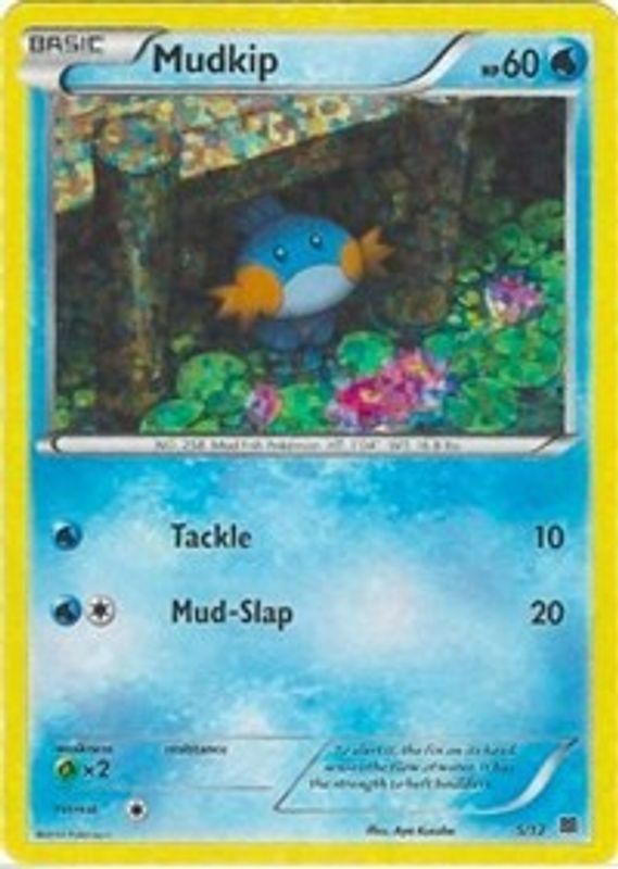 Mudkip - 5/12 - 005/012 - Promo