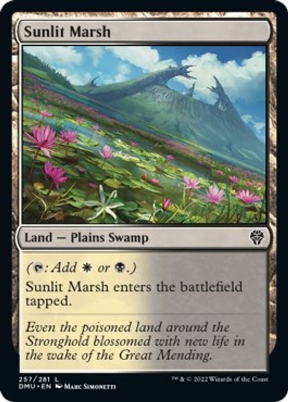 Sunlit Marsh - 257 - Land