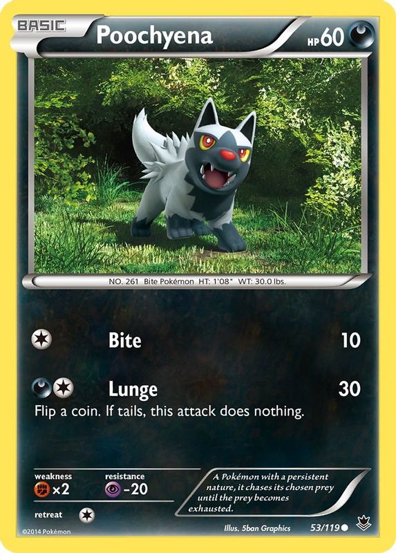 Poochyena - 53/119 - Common