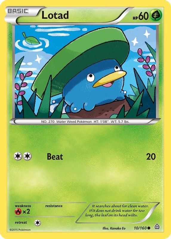 Lotad - 10/160 - Common
