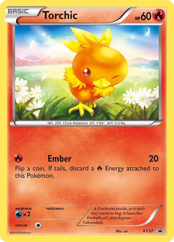 Torchic - XY37 - XY37 - Promo